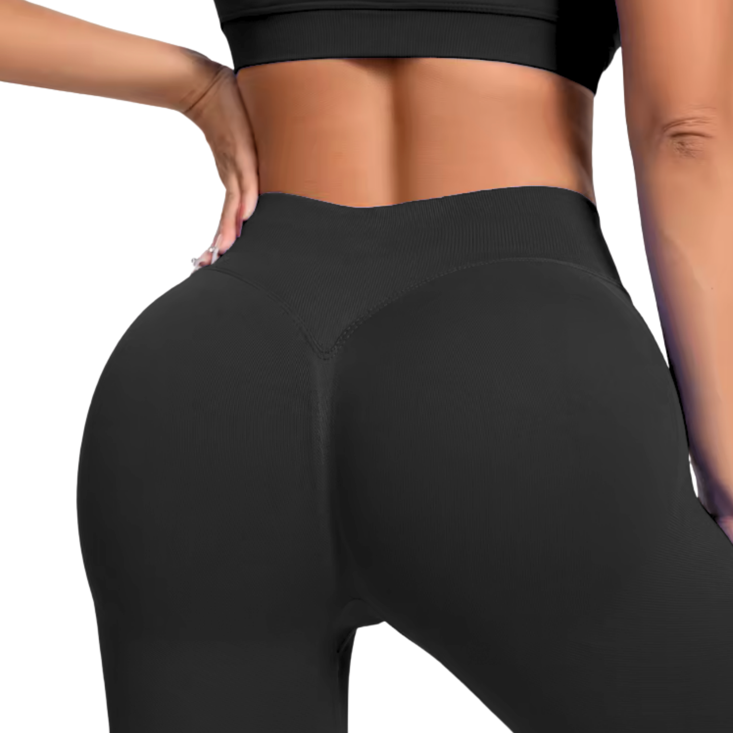 
                  
                    MUSE HIGH-WAIST
                  
                